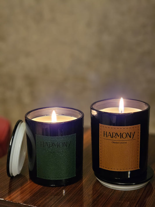 Eau So Sexy Scented Candle